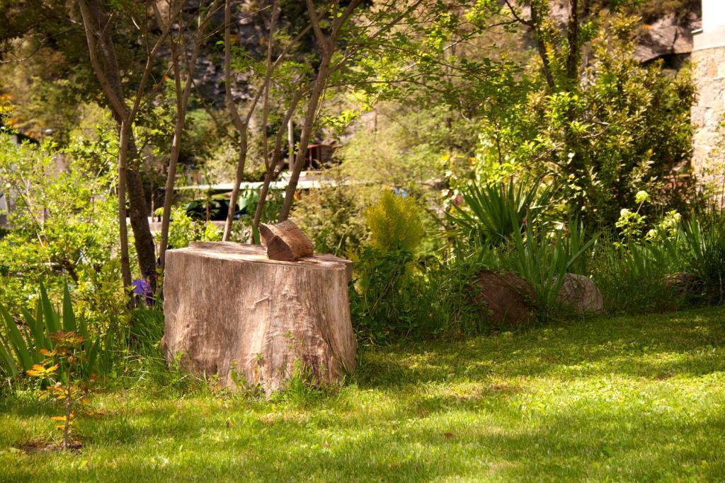 Hotel Badain Lafortunada Exterior foto